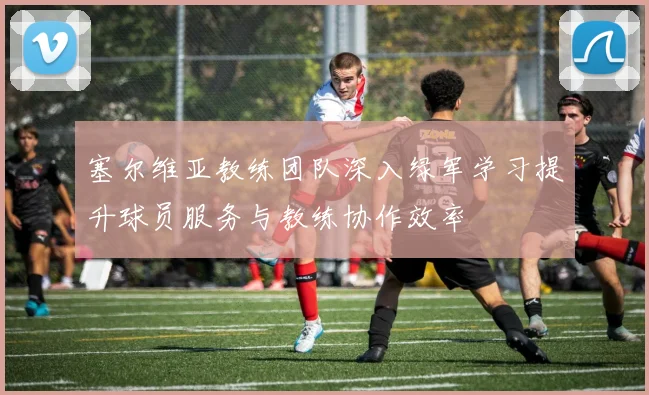 塞尔维亚教练团队深入绿军学习提升球员服务与教练协作效率