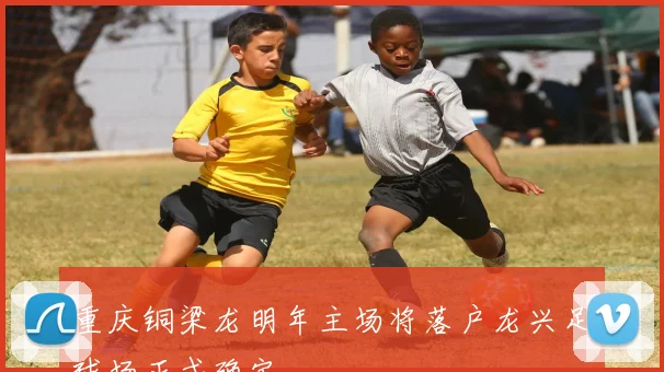 重庆铜梁龙明年主场将落户龙兴足球场正式确定