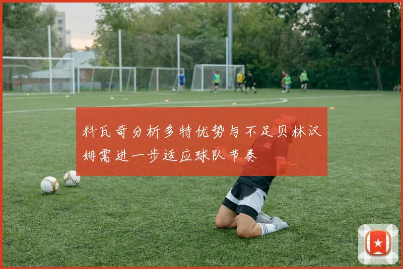 科瓦奇分析多特优势与不足贝林汉姆需进一步适应球队节奏