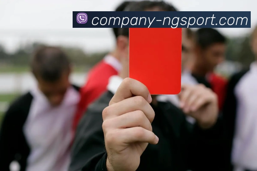 南宫体育平台生态图