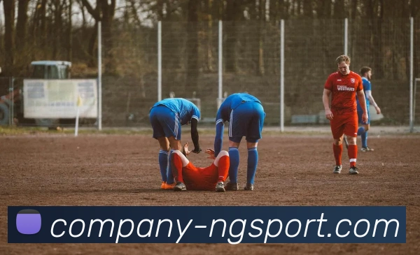 南宫体育APP 封面图